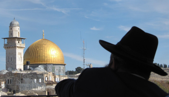 Frag den Rabbi: Weisheit und Orientierung aus jüdischer Tradition